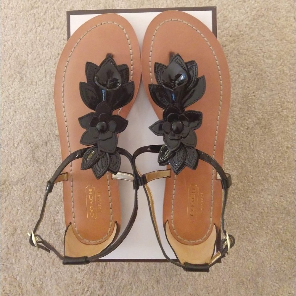 NWOB Coach Sierra Floral Sandals Size 8.5